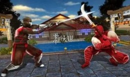 功夫忍者爆料视频大全,揭秘忍者世界神秘面纱