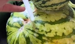 恶搞吃瓜配音视频下载免费,免费下载，笑料横生的欢乐盛宴